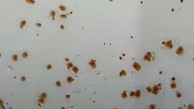 關(guān)于水性涂料的閃銹問題